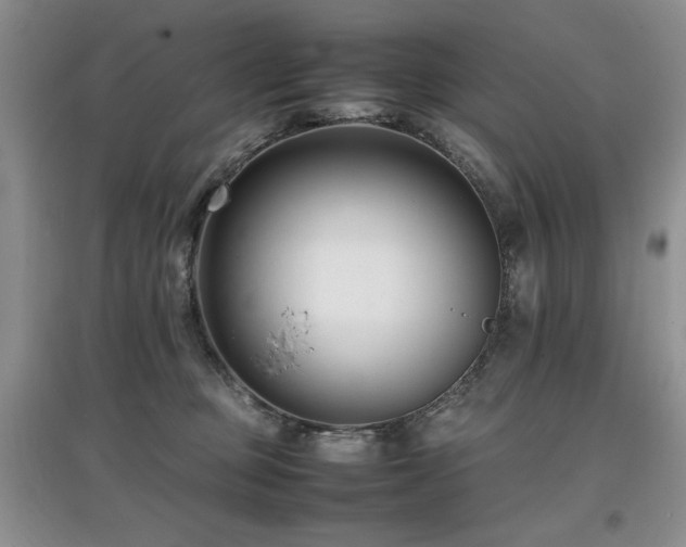 X0000097800373200803141059