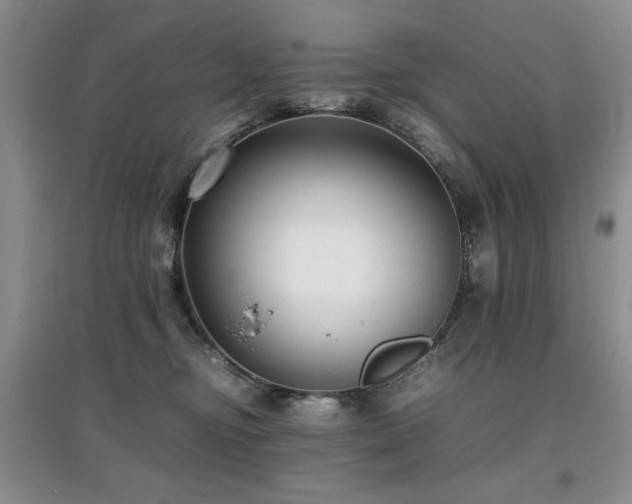 X0000097800374200803141059