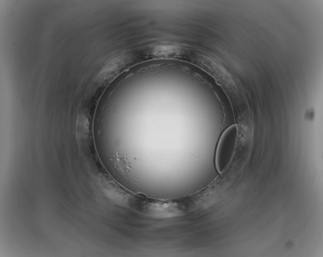 X0000097800375200803141059