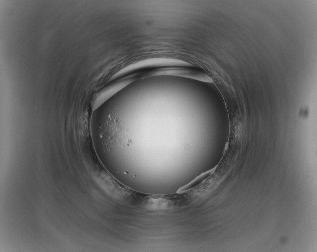 X0000097800376200803141059