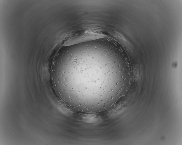 X0000097800377200803141059