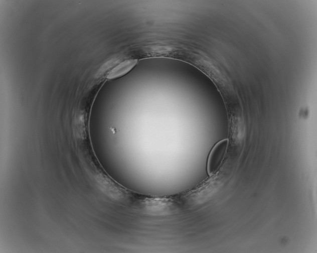 X0000097800378200803141059