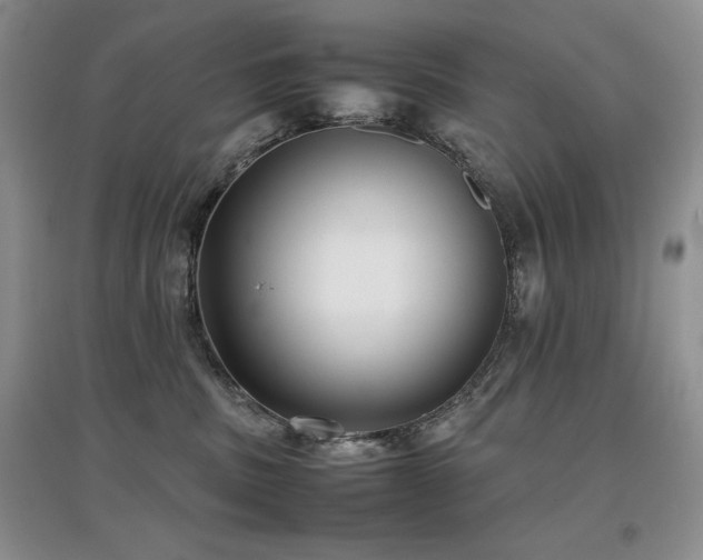 X0000097800379200803141059