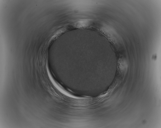 X0000097800380200803141059