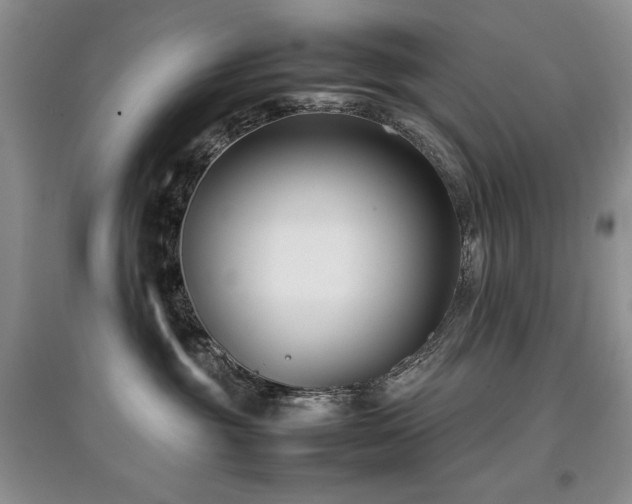 X0000097800381200803141059