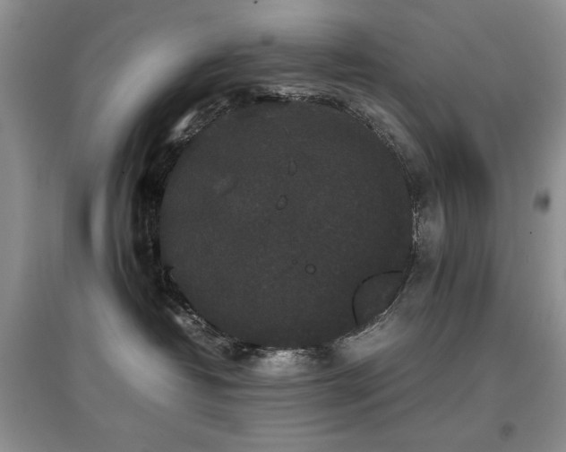 X0000097800382200803141059