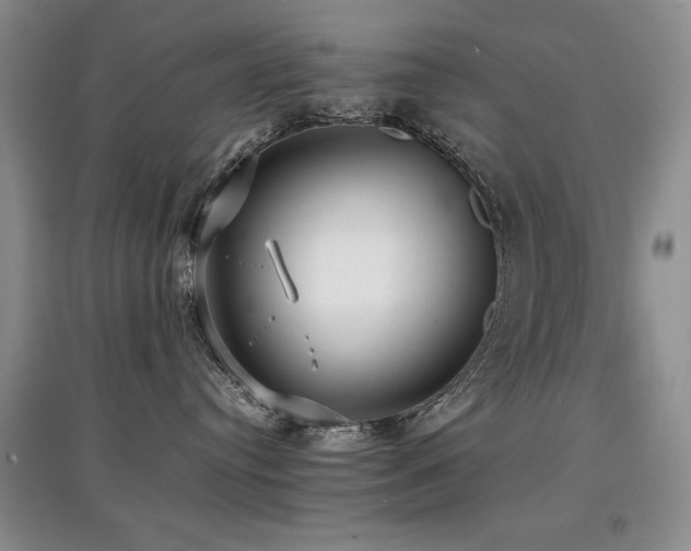 X0000097800384200803141059