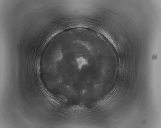 X0000097800386200803141059