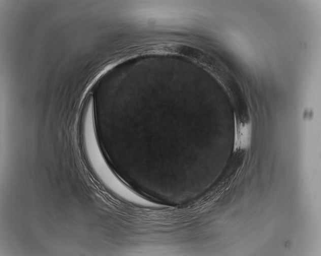 X0000097800387200803141059