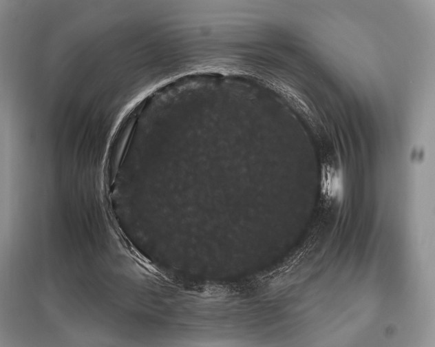 X0000097800388200803141059