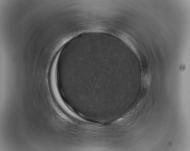 X0000097800389200803141059