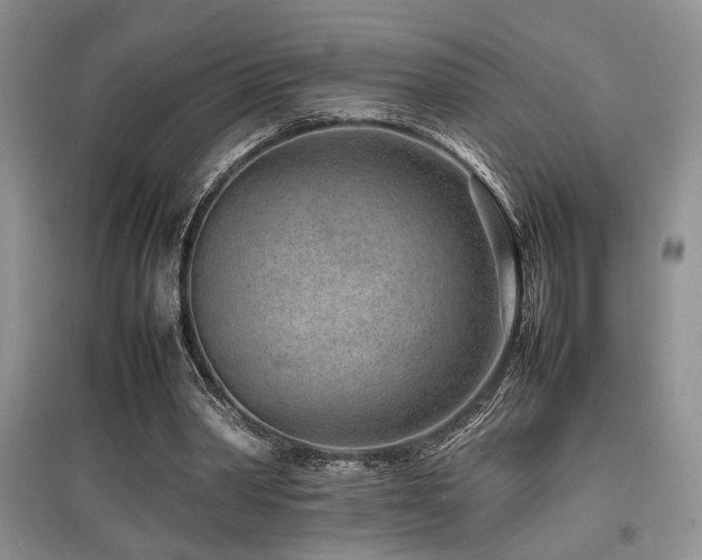 X0000097800390200803141058