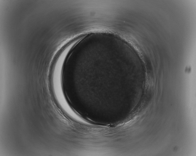 X0000097800391200803141058