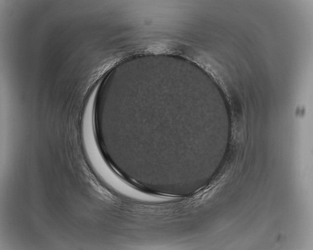 X0000097800393200803141058