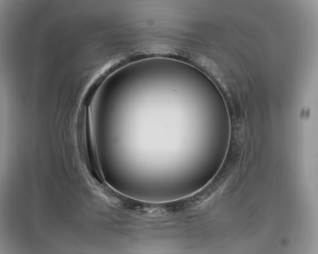 X0000097800395200803141058