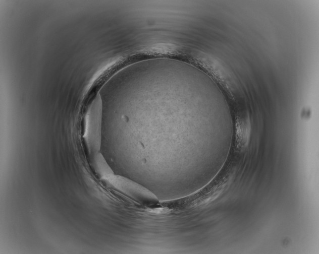 X0000097800396200803141058