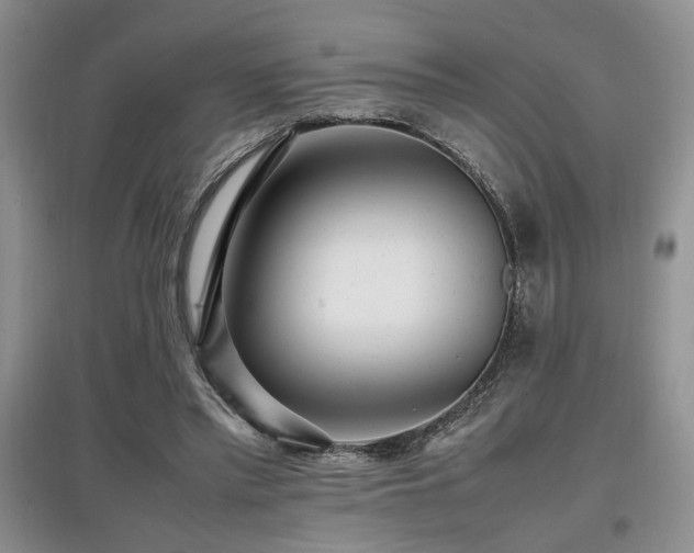 X0000097800397200803141058