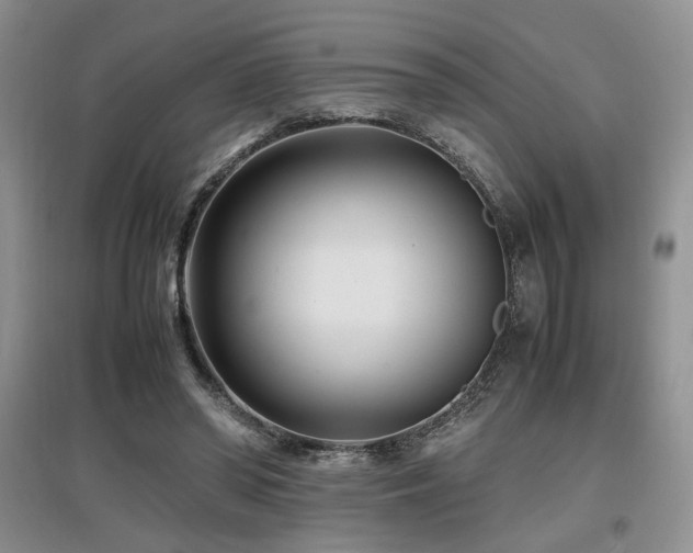 X0000097800398200803141058