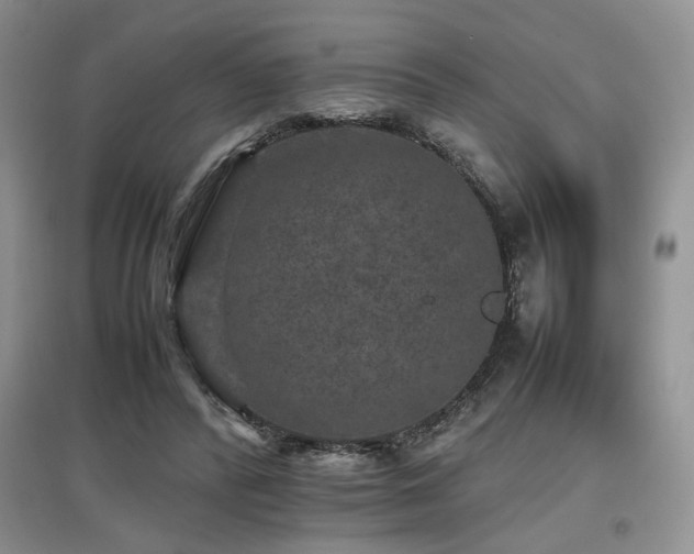 X0000097800400200803141058