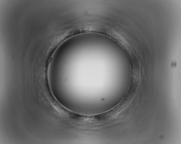 X0000097800401200803141058