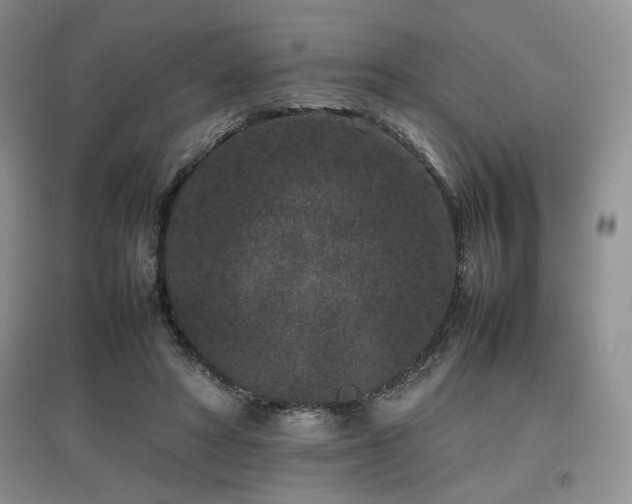 X0000097800402200803141058