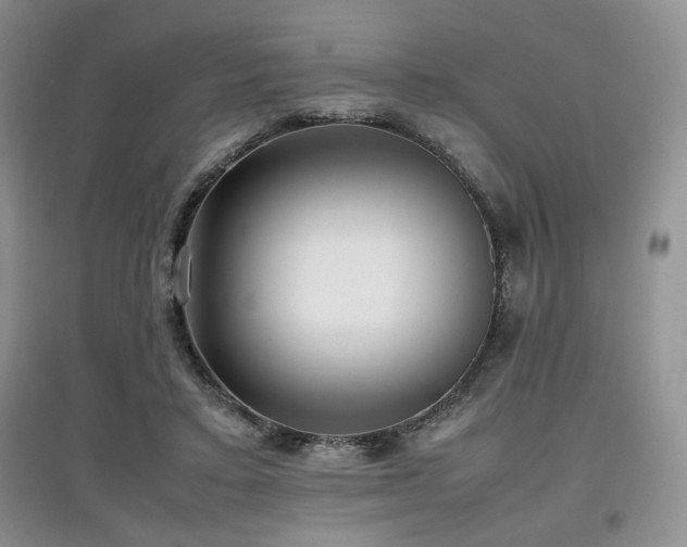 X0000097800403200803141058