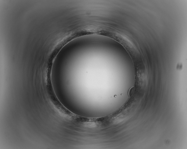 X0000097800404200803141058