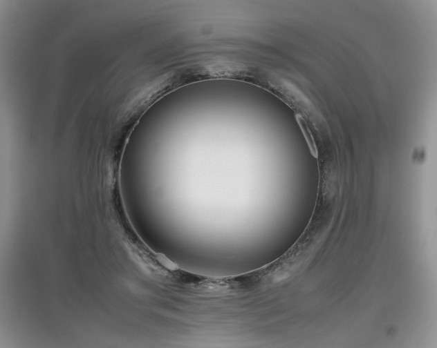 X0000097800405200803141058