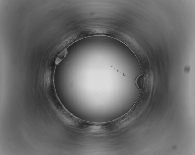 X0000097800406200803141058