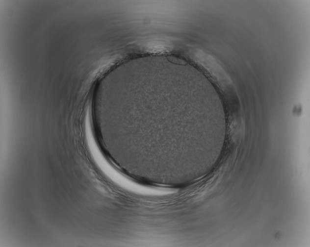 X0000097800407200803141058