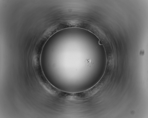 X0000097800408200803141058