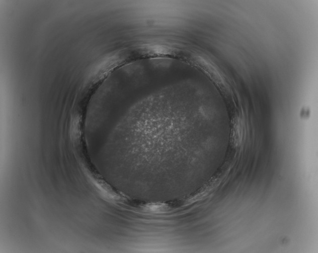 X0000097800410200803141058