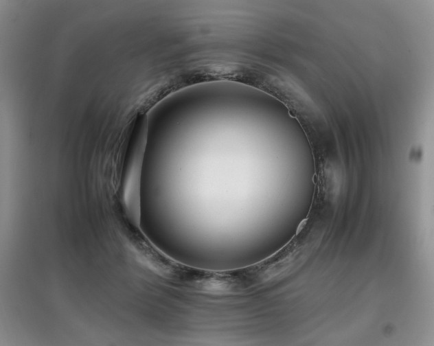 X0000097800412200803141058