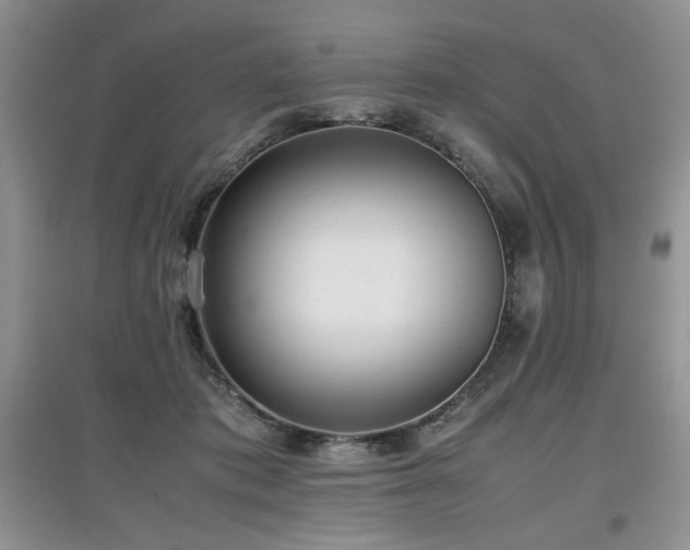 X0000097800413200803141058