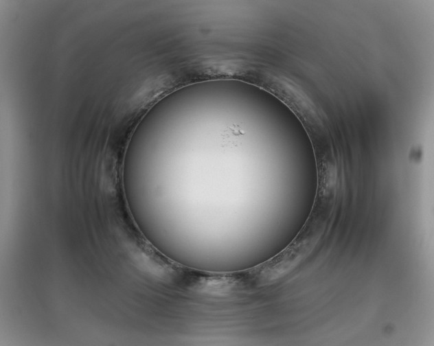 X0000097800414200803141058