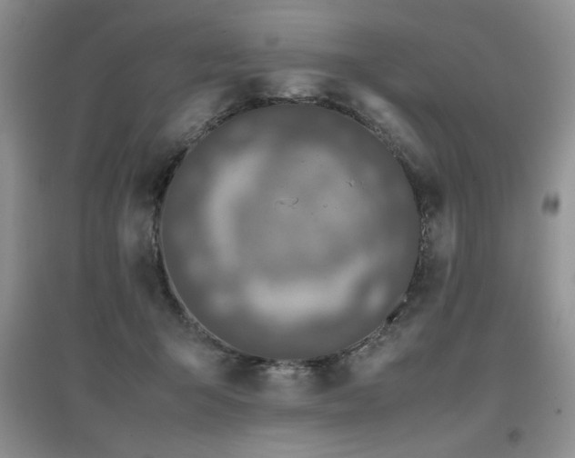 X0000097800415200803141058