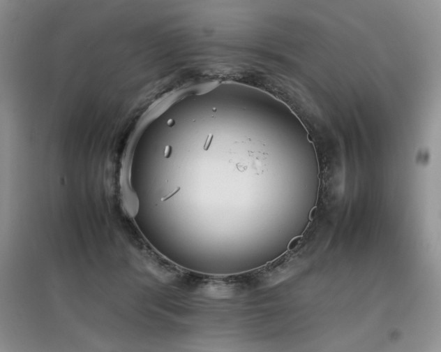 X0000097800416200803141058