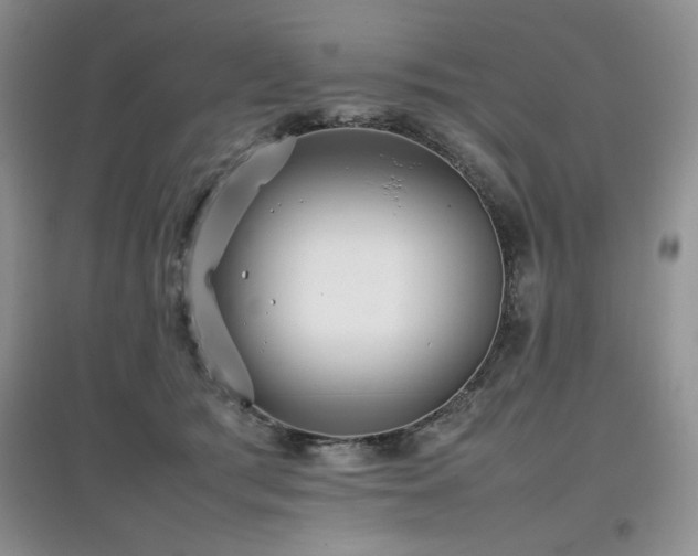 X0000097800417200803141058