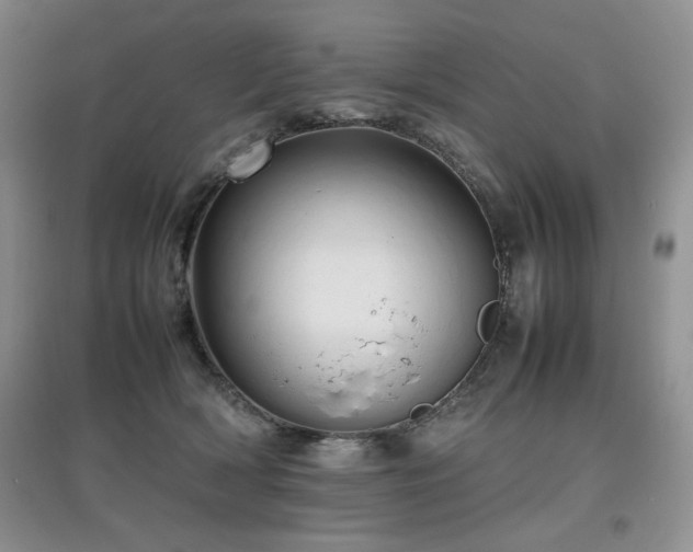 X0000097800418200803141058