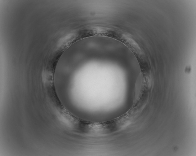 X0000097800419200803141058