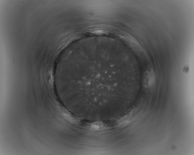 X0000097800420200803141058