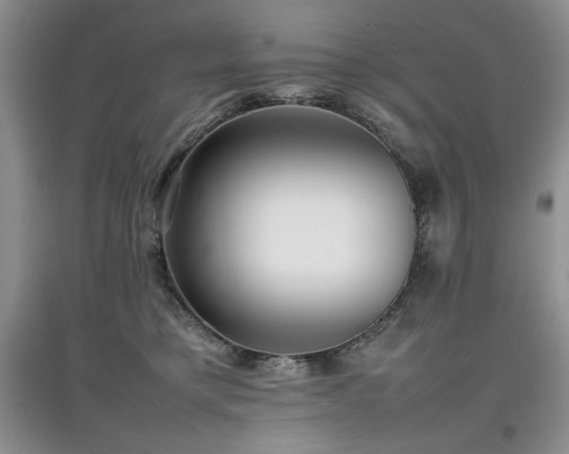 X0000097800421200803141058