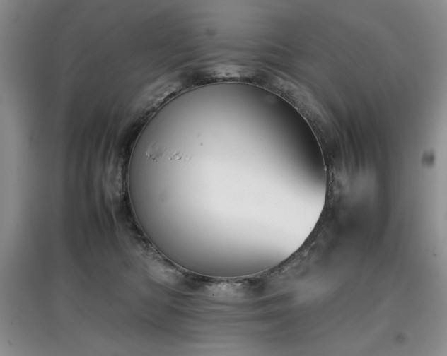 X0000097800422200803141058