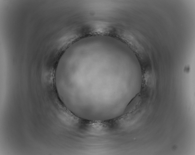 X0000097800423200803141058