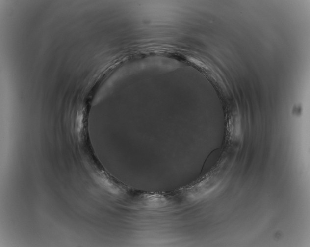 X0000097800424200803141058