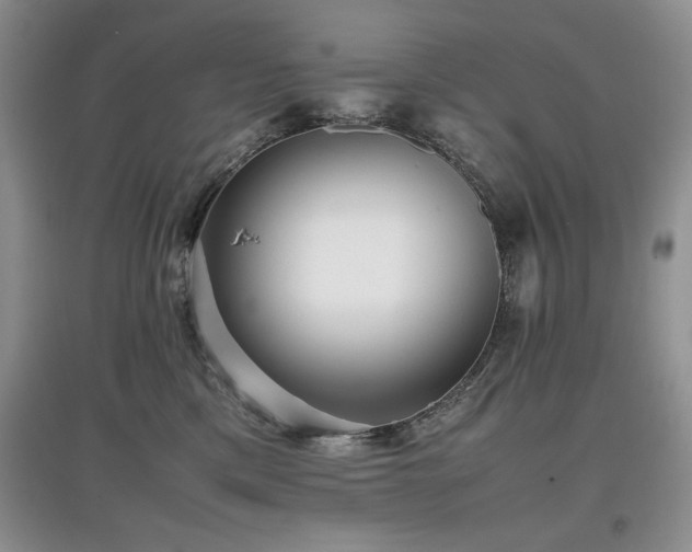 X0000097800425200803141058