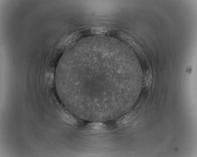 X0000097800427200803141058