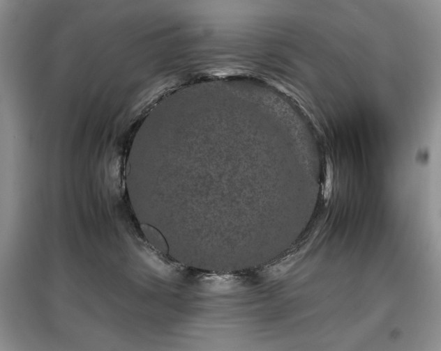 X0000097800428200803141058