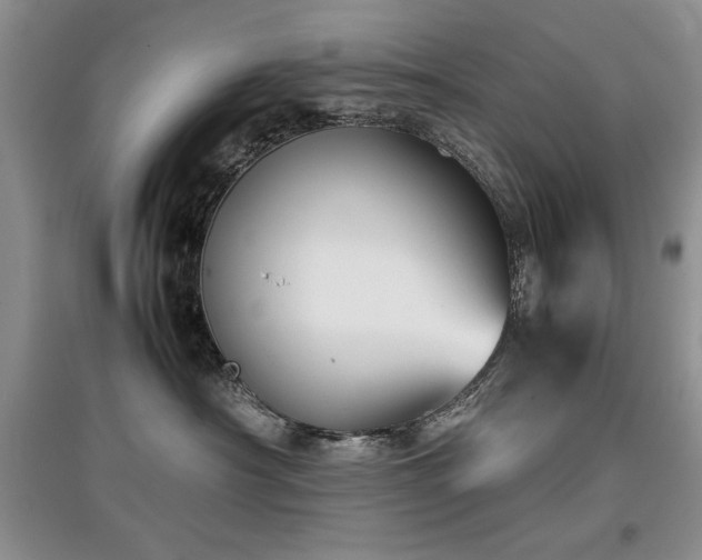 X0000097800430200803141058