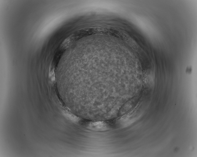 X0000097800431200803141058